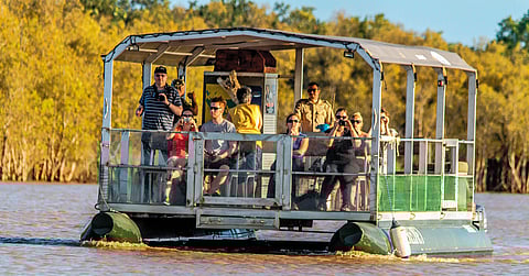 A cruise in the St. Lucia Estuary offers sights of Nile crocs
