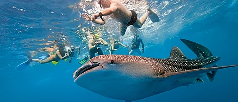Tick off these bucket list items for an adventurous holiday