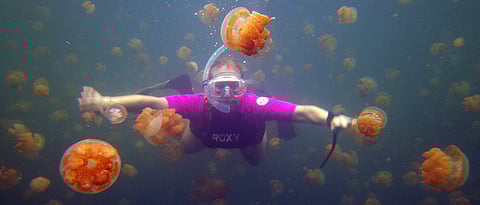 5 Places to Pin on Your Diving Bucket List