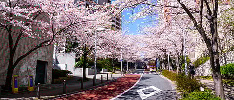 Great Cities Tokyo