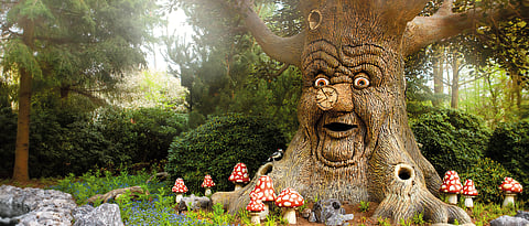 5 Reasons We Love Holland