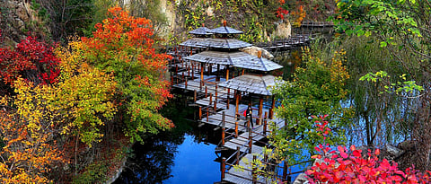 5 Unique Reasons to visit Shandong