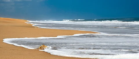 Puri Coast Odisha