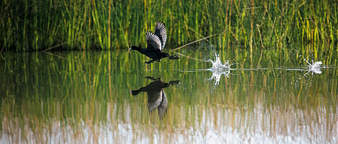 The Kingdom of Lakes in Rajasthan