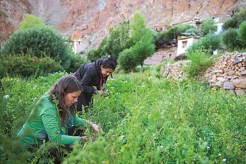 The treks are all conducted by local women