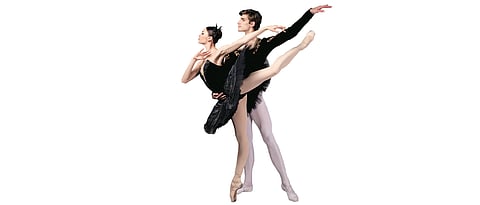 Tcahikovsky's Swan Lake