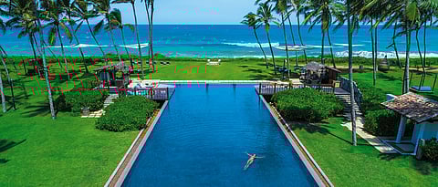 Things To Do In Sri Lanka: Indulge In A Jumbo Treat On Your Sri Lanka Tour