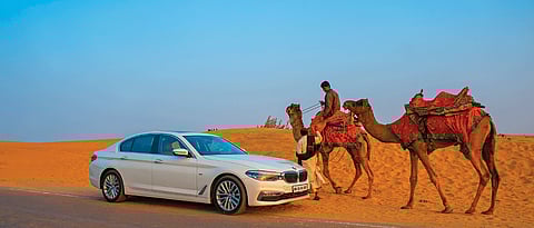 Spotted Camels on the road