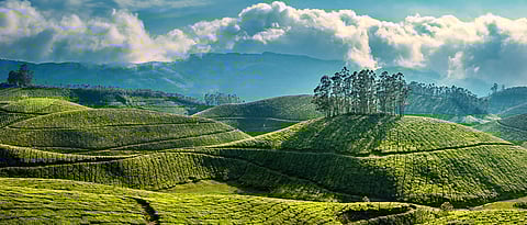 Munnar is spectacular during monsoon