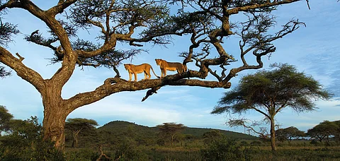 Sachin Rai captures wildlife on his photo tour