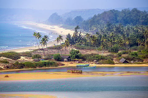 Here's What You Can Expect At Goa's Serendipity Festival This Year