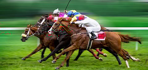 A day with the horses at Bangalore Turf Club