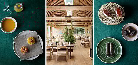 It's Vegetarian Season At Noma 2.0