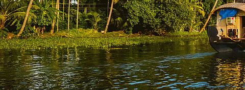 On the waterfront - Kerala