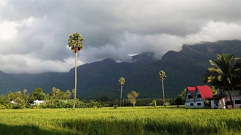 Spend your holiday in the midst of paddy fields, forests, and dark blue mountains in Palakkad, Kerala