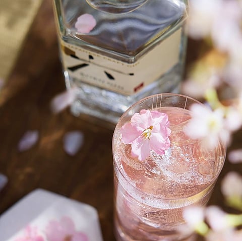 Spring Highball cocktail
