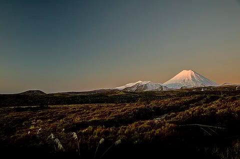 Scoria Flat Ruapehu. CreditCamilla Rutherford