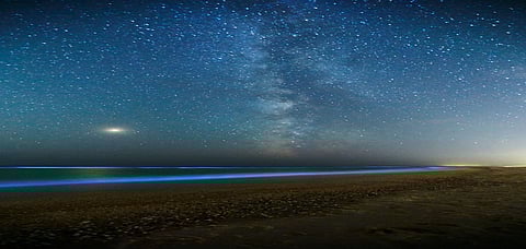 Beaches In India That Glow In The Dark