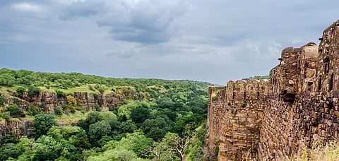 The view of the Ranthambore National Park from the Ranthambore Fort