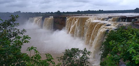 Chhattisgarh's flavourful and exotic cuisine will surely enthral you. Credit Shutterstock