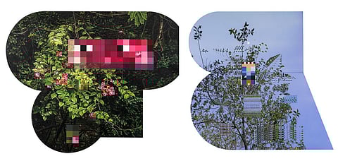 Arboretum by Thukral and Tagra features intricate, photo-realistic paintings, pixels and palettes folding and unfolding onto themselves. Credit Thukral and Tagra/TCC