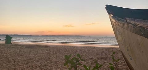 Photo Credit Shutterstock