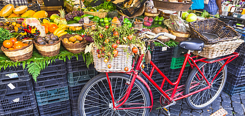 Learning Holidays Detox and Know How to Grow Your Own Food at These Places