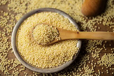 Get A Taste Of Regional Millets Dishes In India
