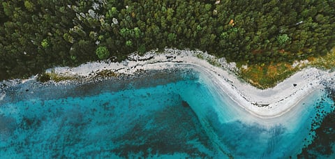 Travel sustainably in a way that doesn't cost you and the Earth, a fortune