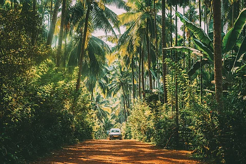 Beyond Sun, Sand and Sea Future of Goa Tourism