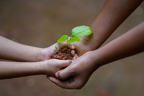 Get your hands dirty on your next holiday Photo credit Pixabay
