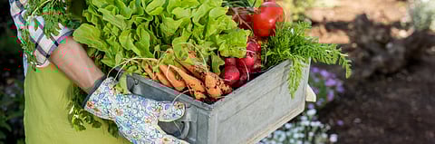 Enjoy a break from city life at farm stays