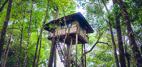 A tree house in the woods