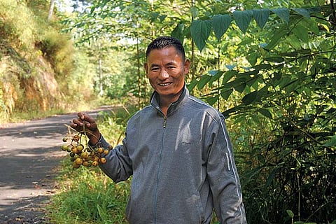 Enjoy Angami Naga hospitality at the Tuophema Tourist Village