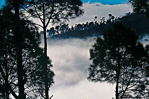 Motorcycling through the mountains of Kumaon