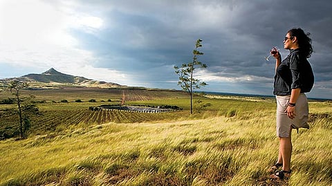 Fratelli Vineyards is not just about wine