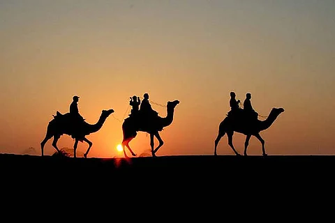 A camel safari through the Thar