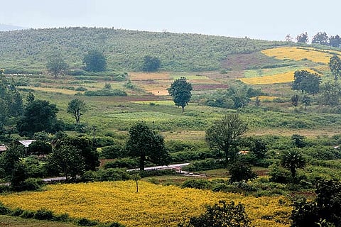 It snows in Odisha too