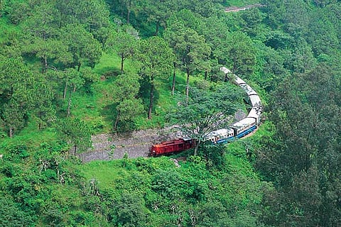 On a heritage train ride from Kalka to Shimla