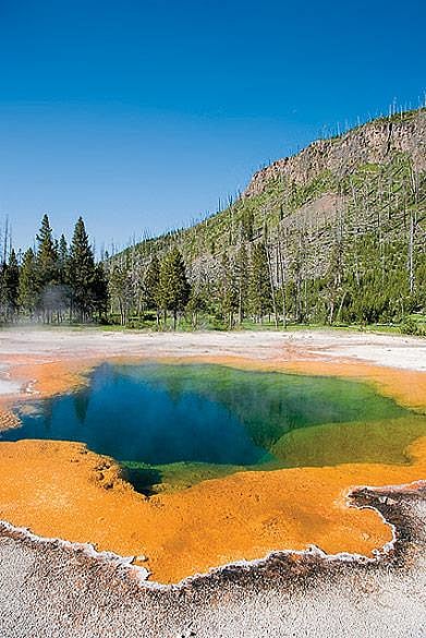 Yellowstone National Park