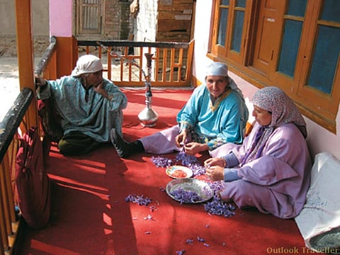 The women work on saffron over conversations