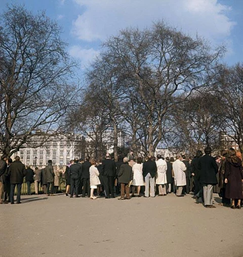 A crowd catches the action at Speaker's Corner, London