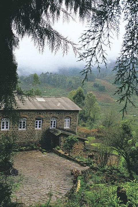 The rainswept hills around Kodi
