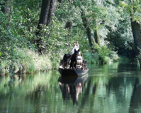 Punting in Spreewald, near Berlin