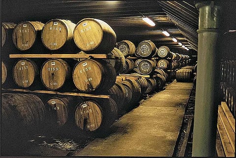 At the Glenmorangie distillery in Tain