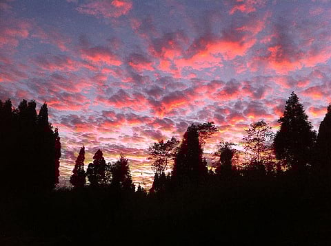 The timeless hill stations of West Bengal