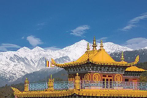 The Dhauladhar rise behind the Deer Park's gilded, pagoda-style roof