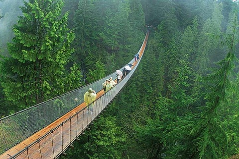 Capilano Suspension Bridge in Vancouver