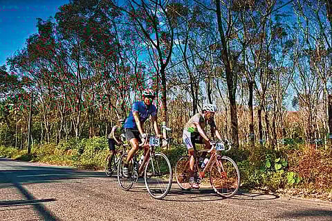 Riding through rubber plantations