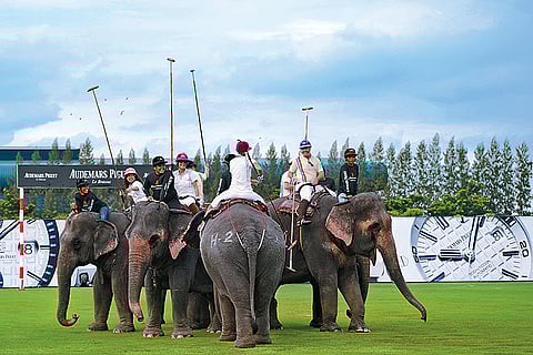 Playing elephant polo for a cause--Bangkok